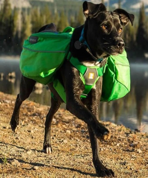 Ruffwear Approach Dog Day Pack The Pet Tack Shop