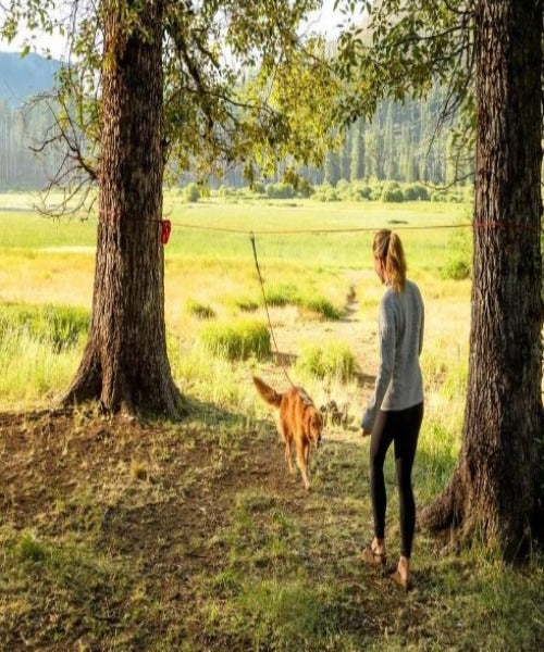 Knot-a-Hitch™ Dog Tether For Camping