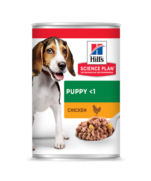 Hill's™ Science Plan™ Chicken Can Puppy Food 370g x 12