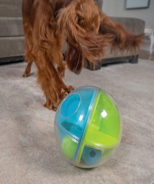 Nina Ottosson A-Maze Ball Dog Toy