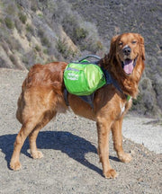 Outward Hound DayPak Backpack Dog Carrier