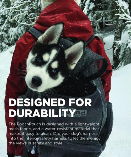 Outward Hound PoochPouch Backpack Dog Carrier