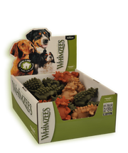 Whimzees Hedgehog Dog Dental Treats