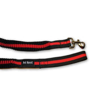 Pet Quest Bungee Leash - Pet Mall