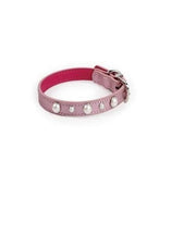 All For Paws Glamour Dog Pearl Collar - Pet Mall