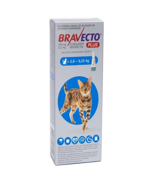 Bravecto Plus Spot On for Cats Medium 2.8 6.25kg