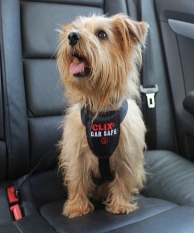 Clix CarSafe Safety Harness for Dogs