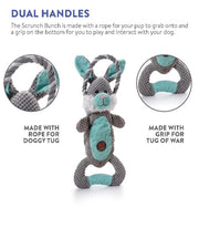 Charming Pets Scrunch Bunch Bunny Dog Toy