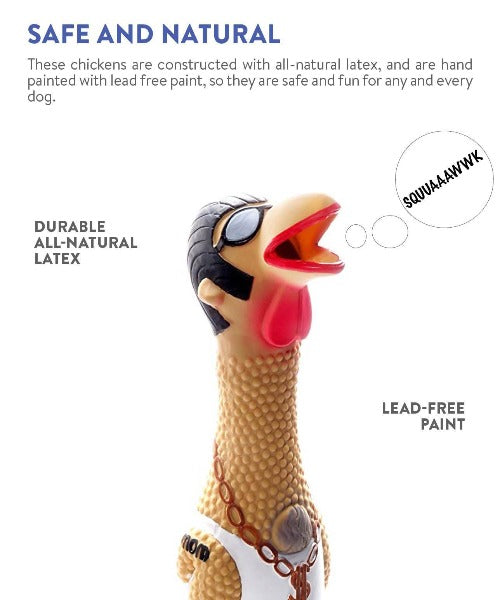 Charming Pets Squawkers Earl Dog Toy