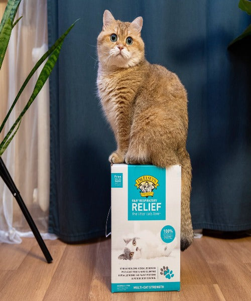 Dr Elsey's R&R Respiratory Relief Cat Litter 9 kg