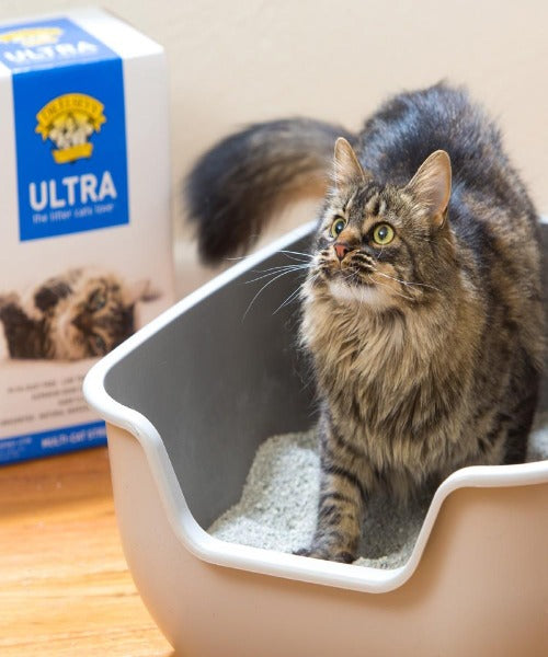 Dr Elsey's Unscented and Hard-Clumping Hypo-Allergenic Cat Litter