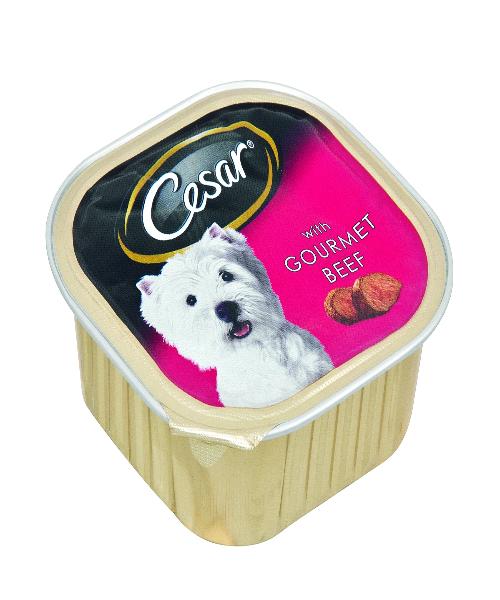 CESAR -WET DOG FOOD - Tray of 24pcs x 100g - Gourmet Beef - Pet Mall