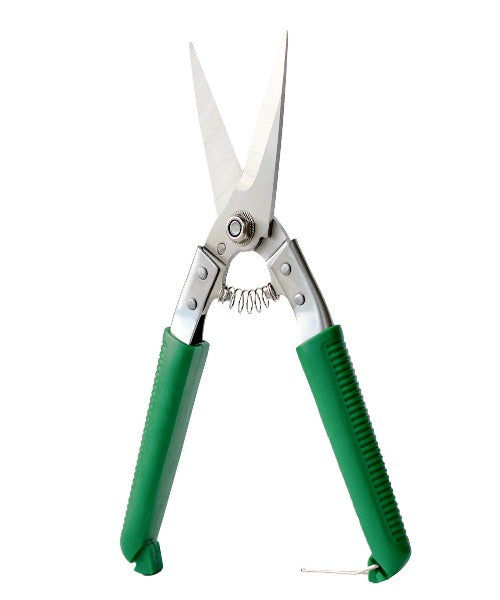 Footrot Sheep Hoof Cutter Green Handle