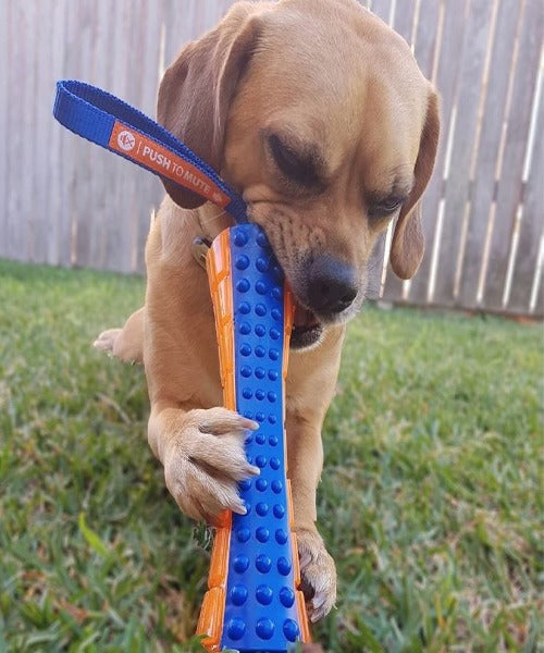 Gigwi Push To Mute Johnny Stick Dog Toy