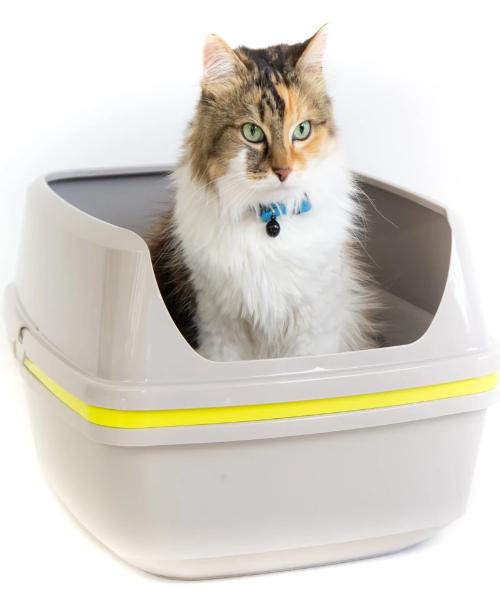 Moderna Lift to Sift Cat Litter Box – The Pet & Tack Shop