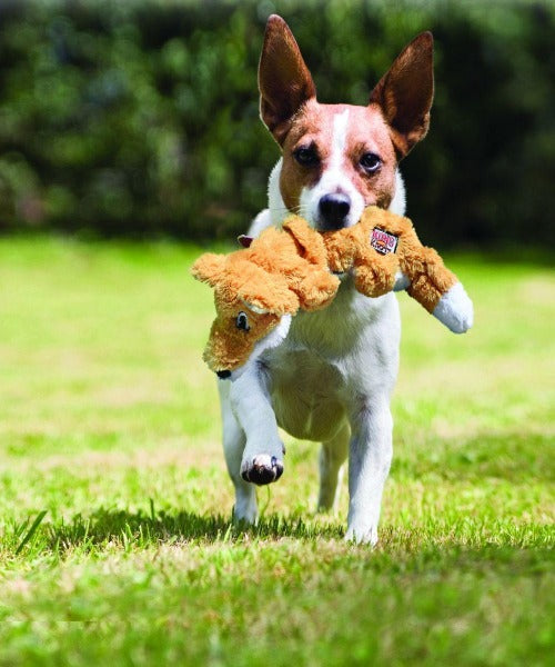 KONG Scrunch Knots Squirrel Dog Toy - Pet Mall