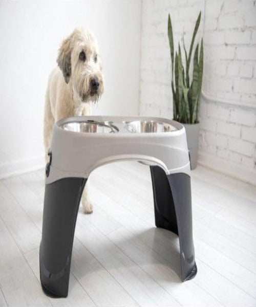 Petmate Easy Reach Pet Bowl Stand