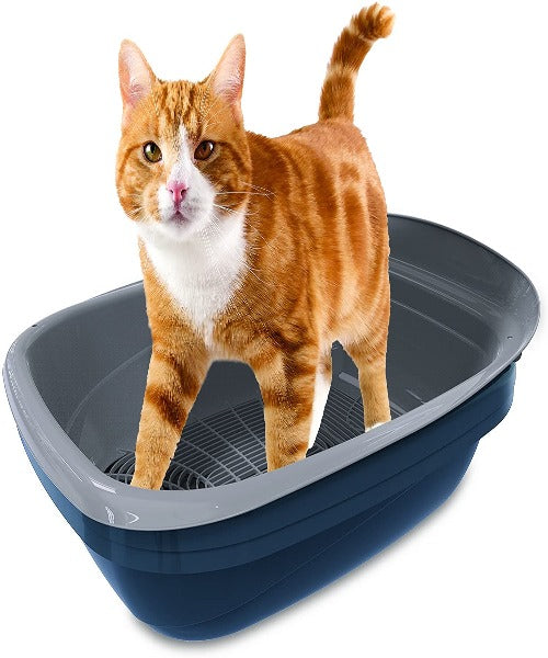 Petmate Simple Sifting Cat Litter Box