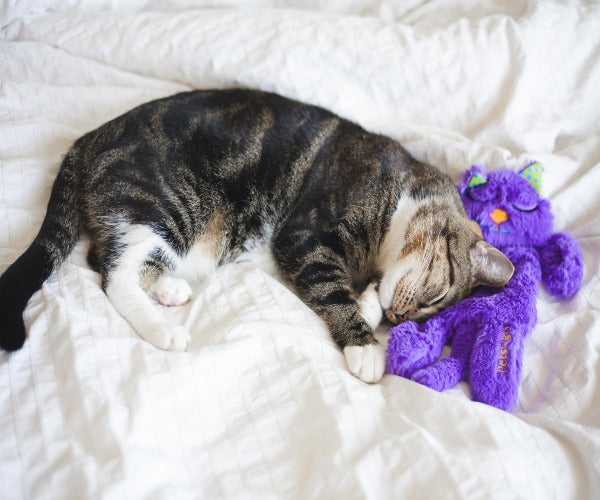 Petstages Purr Pillow Cat Toy