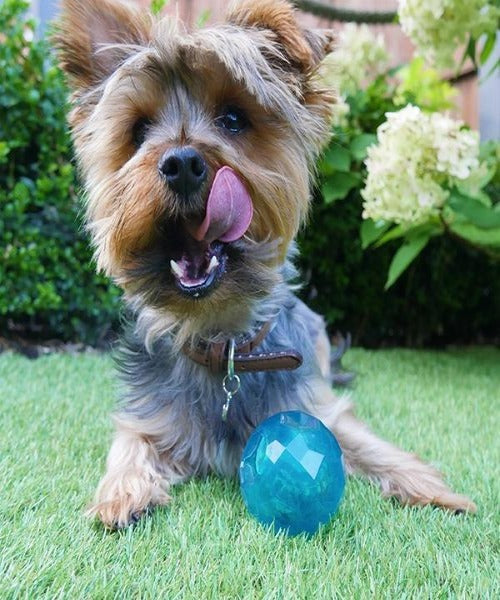 Rosewood BioSafe Puppy Treat Ball Dog Toy