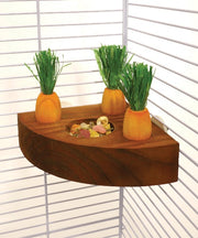 Rosewood Carrot Toy & Treat Holder for Small Pets