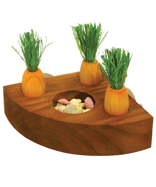 Rosewood Carrot Toy & Treat Holder for Small Pets