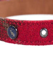 Rosewood Joules Heritage Tweed Leather Collar