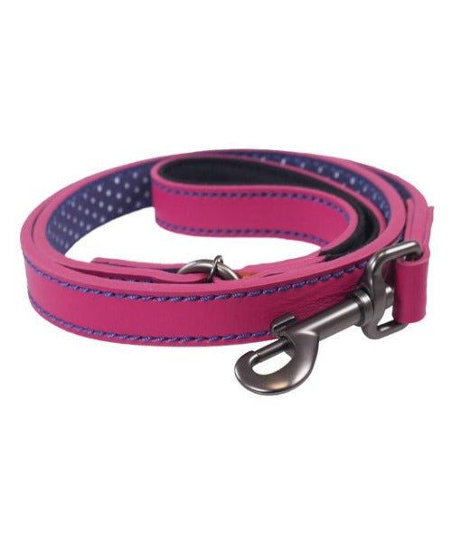 Rosewood Joules Leather Dog Lead