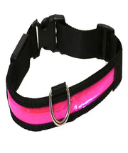 Rosewood Premium Flashing Dog Collar