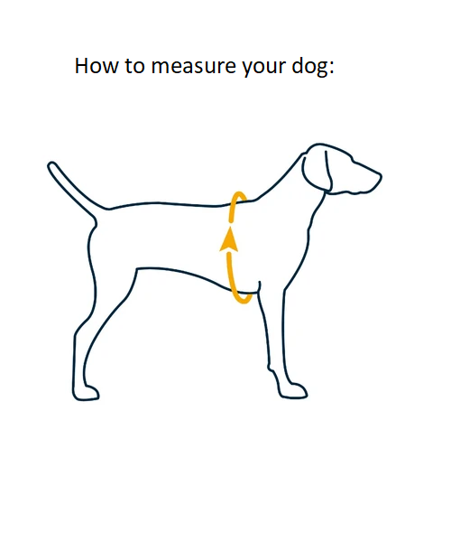 Ruffwear Confluence Stink-Proof Dog Collar