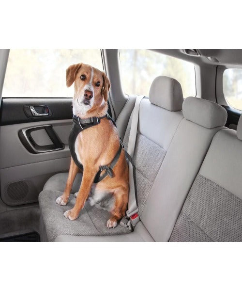 Ruffwear Load up™ Car Safety Dog Harness