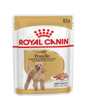 Royal Canin Poodle Dog Food Pouches 12 x 85g - Pet Mall 