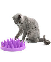 Company of Animals Catch Interactive Slow Feeder for Cats