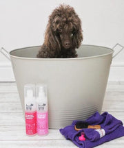 Hownd GOT AN ITCH? NATURAL CONDITIONING SHAMPOO - Pet Mall