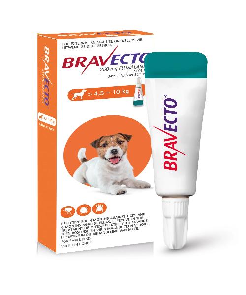 Bravecto flea treatment hotsell